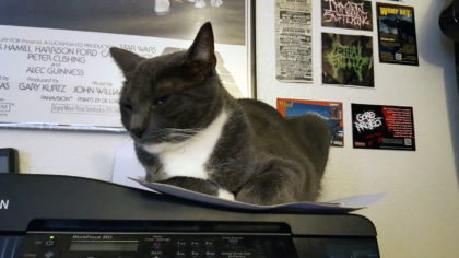 Caruso was a HUGE help. Actually he was over seeing everything and probably responsible for more than half the picks on the list. Meow.